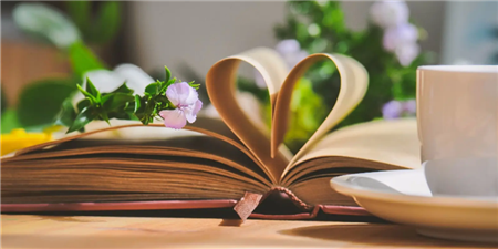 2022热门小说手机软件合集