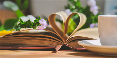 2022热门小说手机软件合集