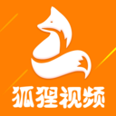 狐狸视频成年版