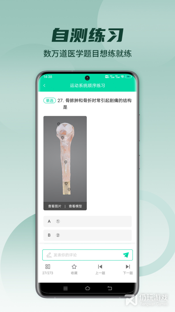 医维度解剖