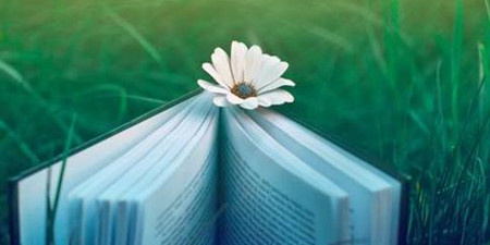 书籍在线阅读手机软件合集