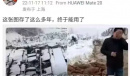 暴雪压塌养猪场表情包详情