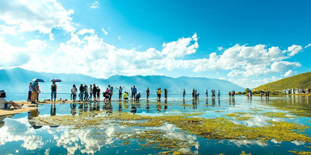 旅游视频手机软件合集