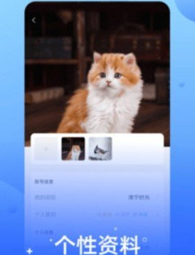 类似悄悄视频聊天交友的手机软件合集