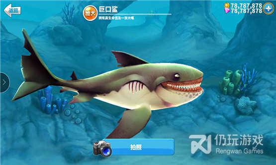 大白鲨模拟手游合集