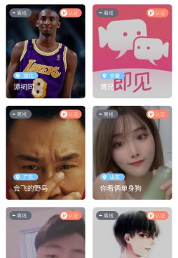 海南语音聊天手机软件合集