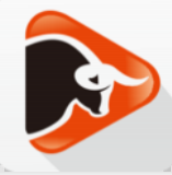 抖牛短视频纯净版