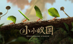 小小蚁国官方礼包兑换码是什么