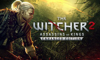 巫师2国王刺客