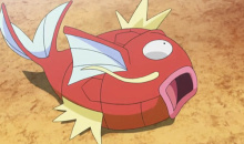 《宝可梦：明亮珍珠晶灿钻石》鲤鱼王宝可梦图鉴一览