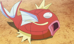 《宝可梦：明亮珍珠晶灿钻石》鲤鱼王宝可梦图鉴一览