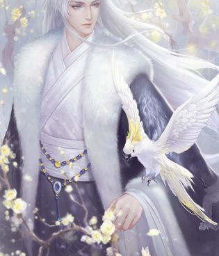 可以模拟养猫的手游合集