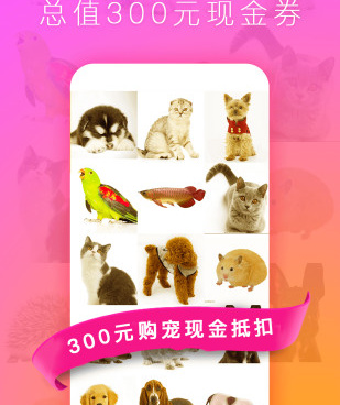 宠物医院手机软件合集