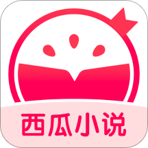 西瓜小说