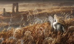 艾尔登法环DLC黄金树阴影发售时间介绍