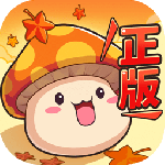 冒险岛联盟的意志