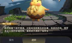 代号td宠物推荐解析