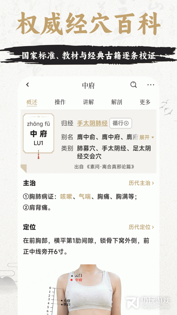 中济经络穴位