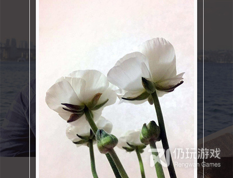 拍照最好看的手机软件合集