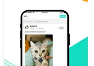 和v.in短视频相似的手机软件排行榜