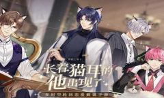 猫之宿约者兑换码汇总