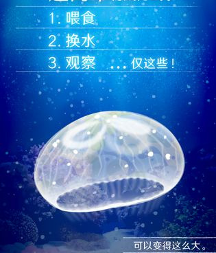 时下好玩的休闲治愈手游合集