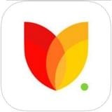 花秀直播会员版