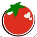 西红柿直播免费版