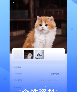 和悄悄视频聊天交友很像的手机软件合集