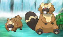 《宝可梦：明亮珍珠晶灿钻石》大牙狸宝可梦图鉴一览