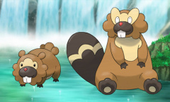 《宝可梦：明亮珍珠晶灿钻石》大牙狸宝可梦图鉴一览