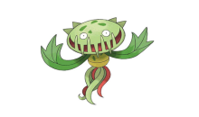 《宝可梦：明亮珍珠晶灿钻石》草尖牙笼宝可梦图鉴一览