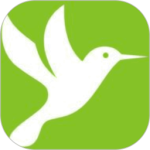 蜂鸟影院中文版