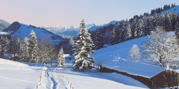 免费使用的住宿手机软件排行榜