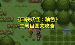 《口袋妖怪：釉色》二周目图文攻略