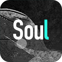 soul英文版