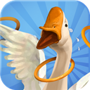 我用圈圈搂大鹅免广告版