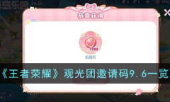 王者荣耀观光团邀请码9.6详情