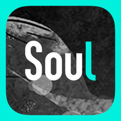 soul交友版