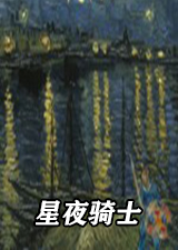 星夜骑士