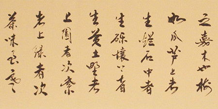 书法在线学习手机软件合集