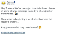 《宝可梦：朱/紫》公开神秘图案 疑似与生态有关