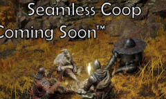 玩家自制《艾尔登法环》无缝联机mod即将开放测试