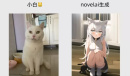 novelai下载位置