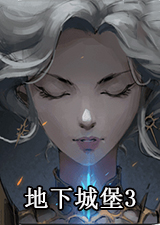 地下城堡3魂之诗电脑版