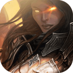 暗黑纹章觉醒九游版