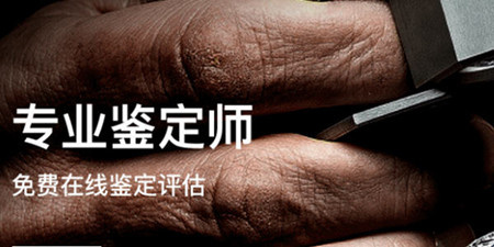 在线鉴定手机软件合集