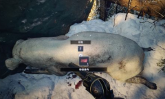 《生化危机8》特级兽肉位置介绍