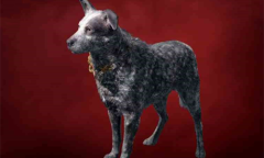 《孤岛惊魂6》大型犬布布获得方法介绍