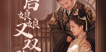 播放量超大的网络短剧手机软件合集